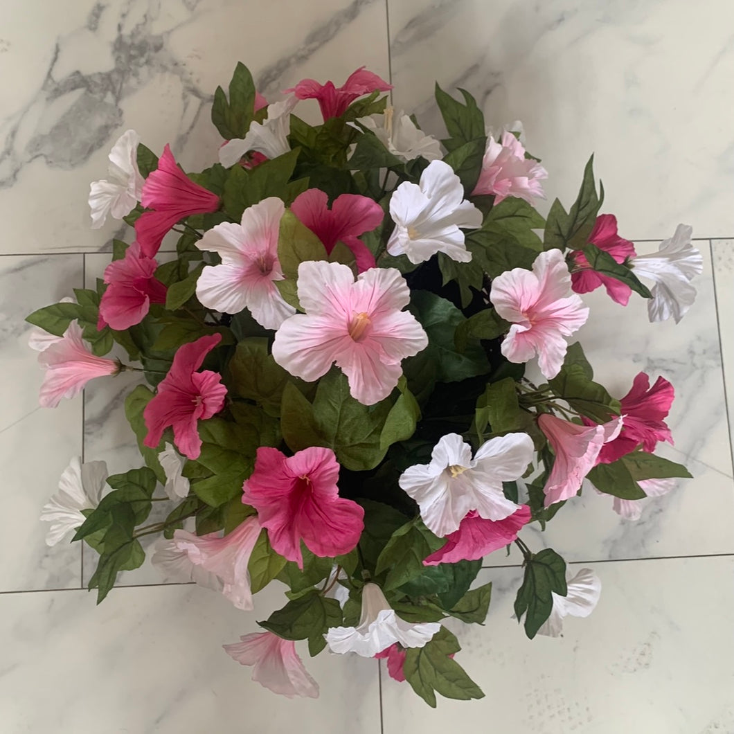 Petunia Hanging Basket