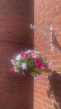 Load and play video in Gallery viewer, Petunia Hanging Basket
